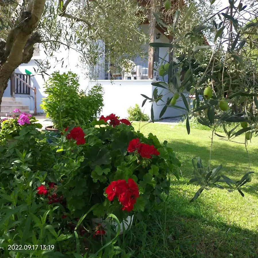 House In Vourvourou With Big Garden For 5 Persons. Villa Greece